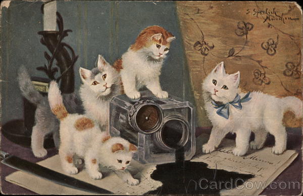Four Cats Tipping Inkwell on Letter