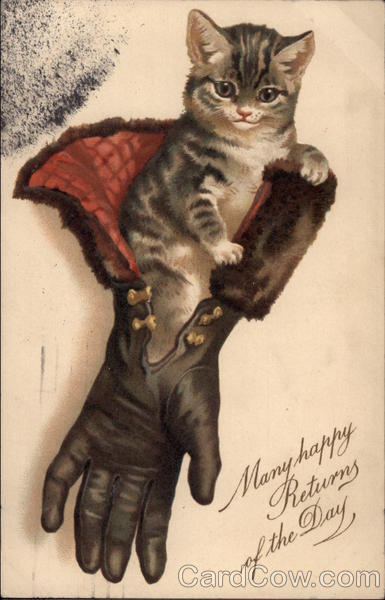 Kitten Sits in a Fur-trimmed Glove Birthday