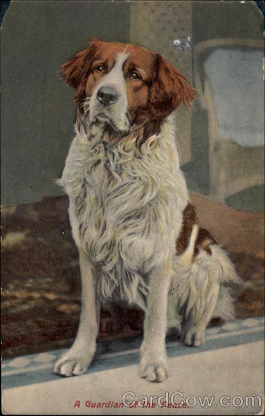 A Guardian of the Peace Landor Saint Bernards