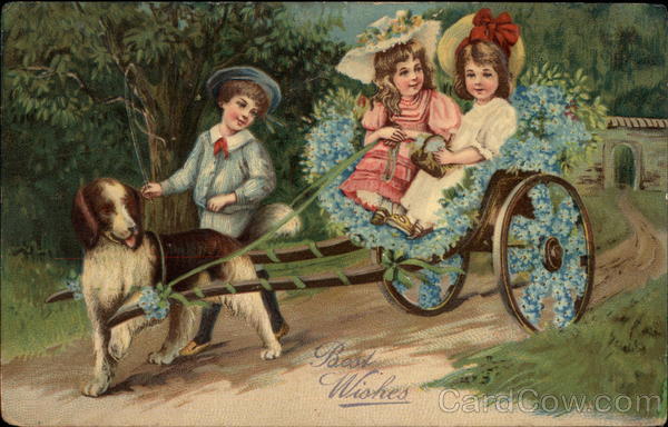 Best Wishes Saint Bernards