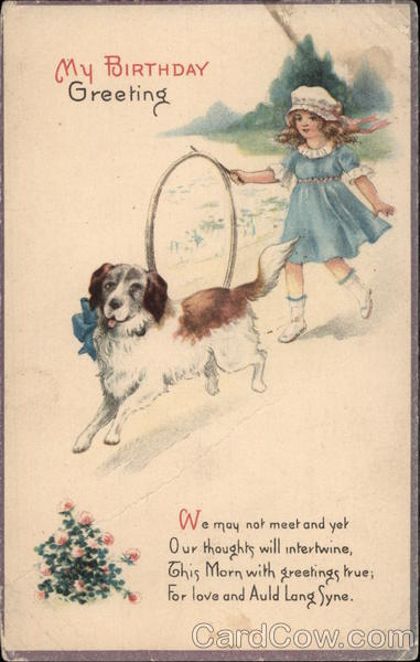 Little Girl with Hoop Plays with Her Dog Saint Bernards
