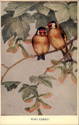 Two Small Birds on a Branch Postcard