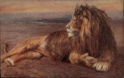 Lion Tuck's Oilette Series Postcard Postcard