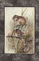 Field Mouse Postcard