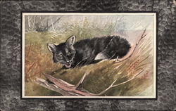 Black Fox Postcard