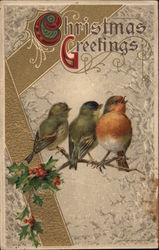 Christmas Greetings - Robin Postcard