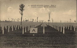Meuse-Argonne Cemetery Postcard