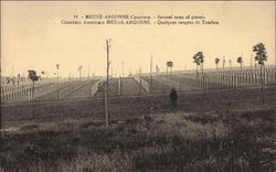 Meuse-Argonne Cemetery World War I Postcard Postcard