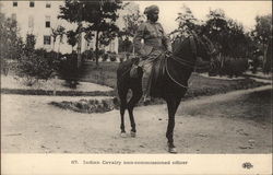 Indian Cavalry - Non-Commissioned Officer Postcard
