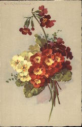 Primroses C. Klein Postcard Postcard