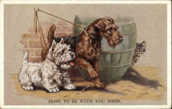 Two Dogs On Leashes Postcard Postcard