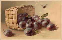 Still LIfe - Basket of Plums Postcard