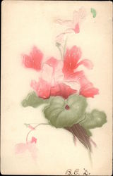Pink Cyclamen Flowers Postcard Postcard