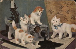 Four Cats Tipping Inkwell on Letter Postcard