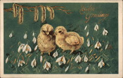 Easter Greetings - Chicks and Snowdrops Postcard