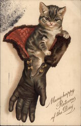 Kitten Sits in a Fur-trimmed Glove Postcard