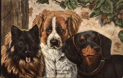 Three Good Friends - Dogs Three Good Friends - Dogs