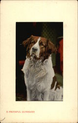 A Faithful Guardian Saint Bernards Postcard Postcard