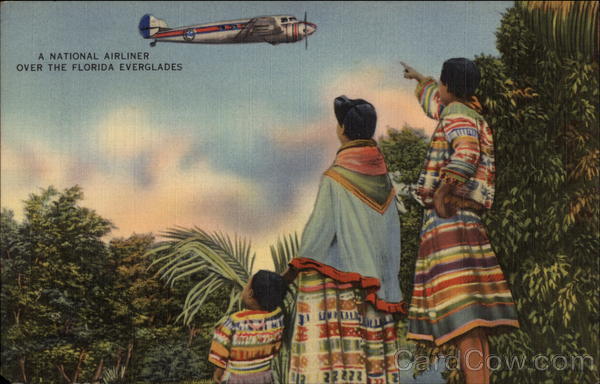 A National Airliner Over the Florida Everglades Aircraft