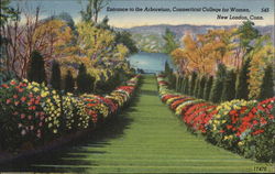 Entrance to the Arboretum, Connecticut College of Women New London, CT Postcard Postcard