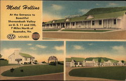 Motel Hollins Virginia Postcard Postcard