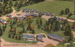 Natural Bridge Motor Lodge Postcard