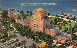 Flamingo Hotel Postcard