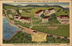 The Paramount Parksville, NY Postcard Postcard