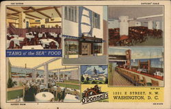 O'Donnell's Sea Grill Washington, DC Washington DC Postcard Postcard