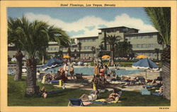 Hotel Flamingo Postcard