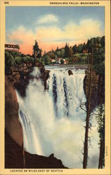 Snoqualmie Falls Postcard