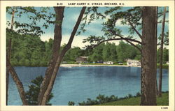 Camp Harry H. Straus Postcard