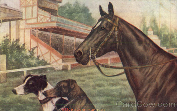 King Of The Turf Horse Racing