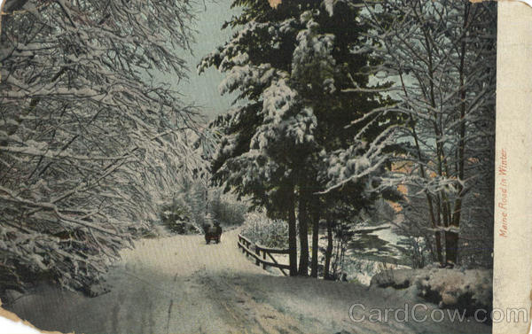 Maine Road In Winter Scenic
