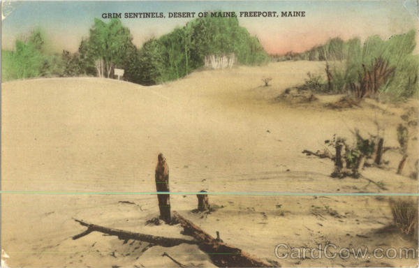 Grim Sentinels Desert Of Maine Freeport