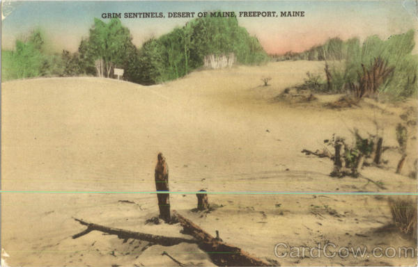 Grim Sentinels Desert Of Maine Freeport Grim Sentinels Desert Of Maine Freeport