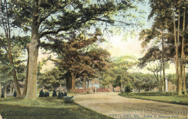 Scene In Deering Park Portland Maine