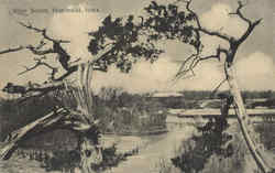 River Scene Postcard