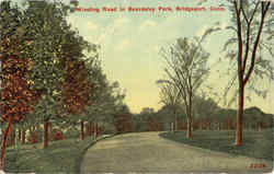 Winding Road In Bearsley Park Postcard