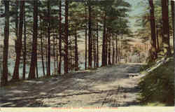 Woodland Way, Monponsett Postcard