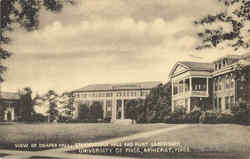 View Of Draper Hall Postcard