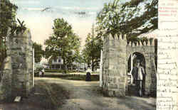 The Entrance To Woodlyn Park Postcard