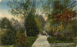 The Approach To The Lake, Wright Park Postcard
