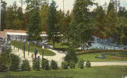 The Zoo In Point Deviance Park Postcard
