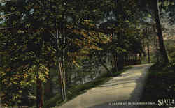 A Pathway In Madrona Park Seattle, WA Postcard Postcard