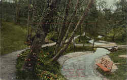 The Brook In Cowen Park Seattle, WA Postcard Postcard