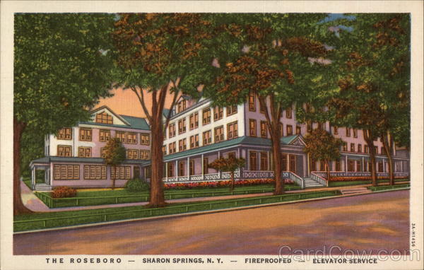 Hotel Roseboro Sharon Springs New York