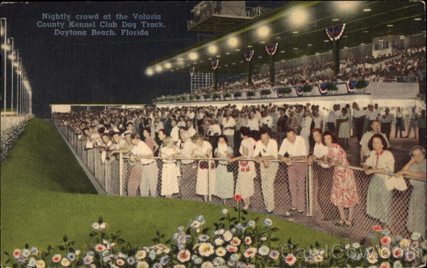 Nightly Crowd at the Volusia County Kennel Club Dog Track Daytona Beach Florida