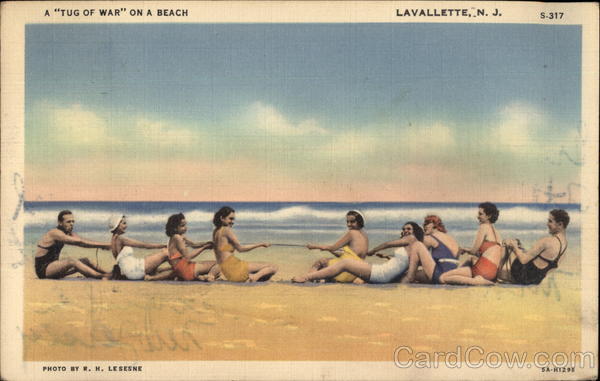 A Tug of War on a Beach Lavallette New Jersey