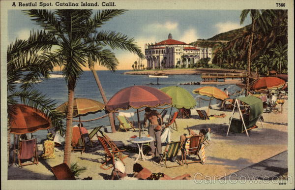 A Beautiful Resting Spot by the Beach Santa Catalina Island California